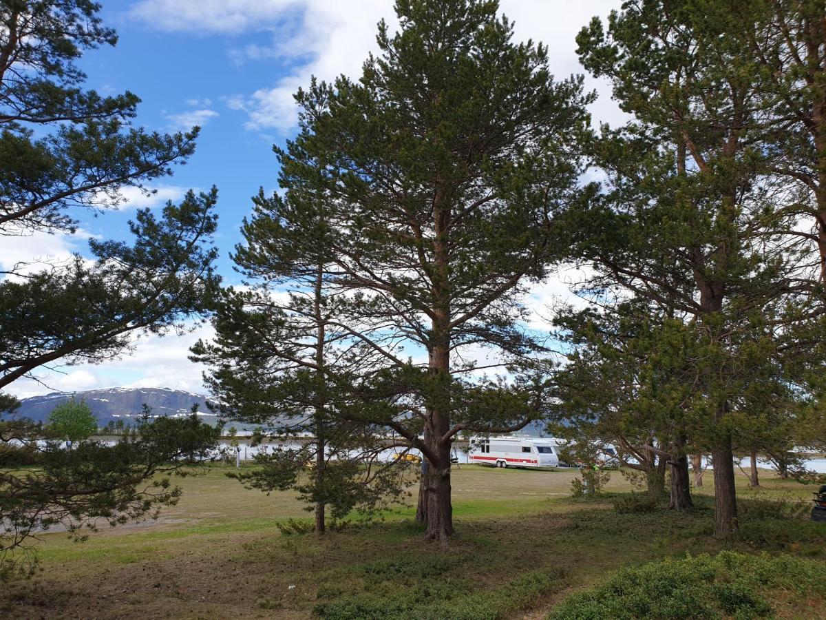 Solvang camping og leirsted Alta Eksteriør bilde